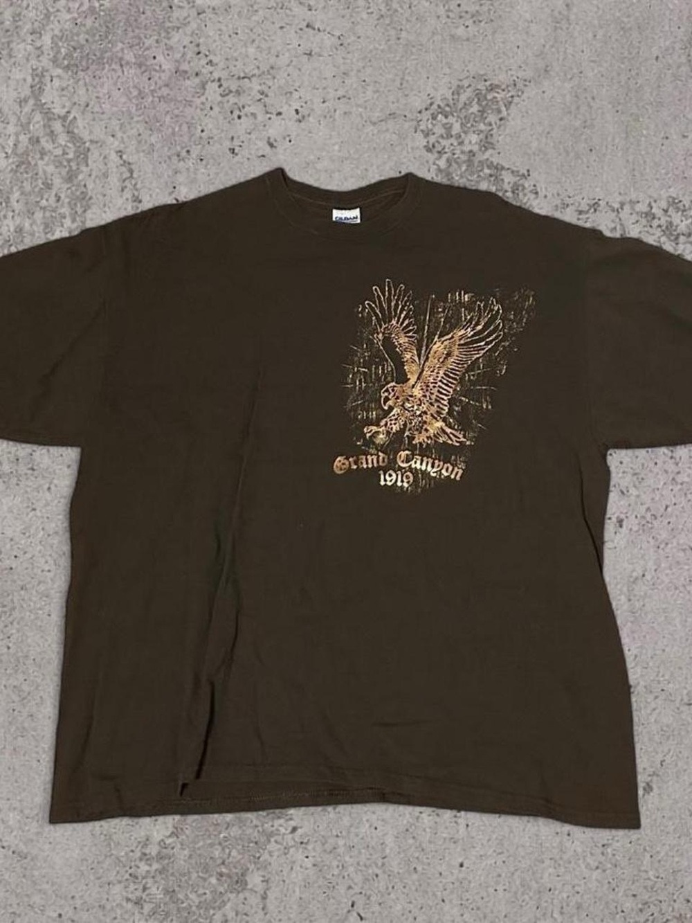 Gildan Grand Canyon Eagle Graphic Tee Brown 2XL